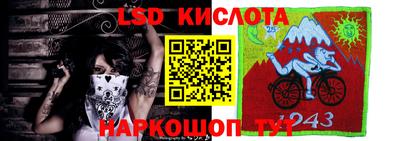 гидропоника Краснознаменск