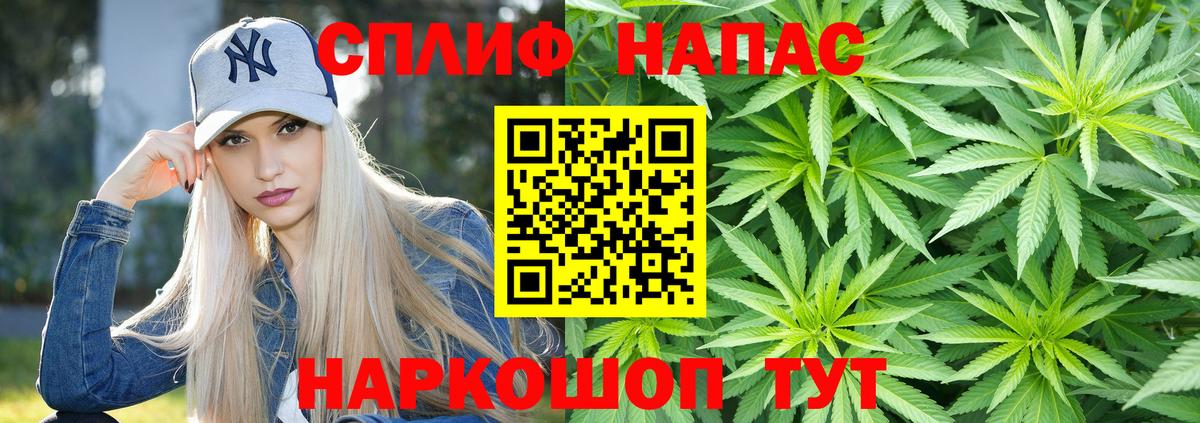 Канабис гибрид Фрязино
